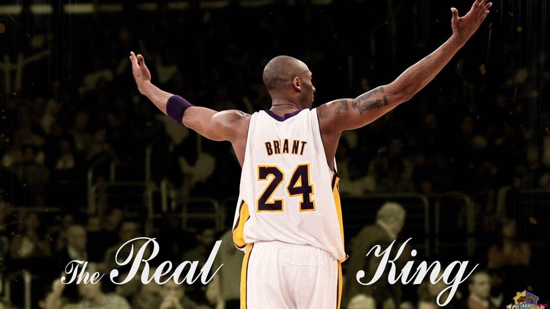 广厦队绝杀上海队，浓眉主宰比赛走向